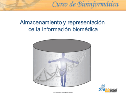 Almacenamiento y representación de la información biomédica