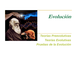 CLASE 13 - EVOLUCION