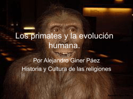 Los primates y la evolución humana