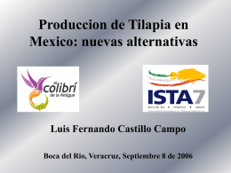 Produccion de Tilapia en Mexico