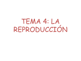 TEMA 4: LA REPRODUCCIÓN - Colegio Cooperativa San Saturio