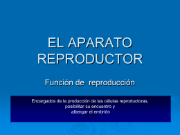ppt "el aparato reproductor"
