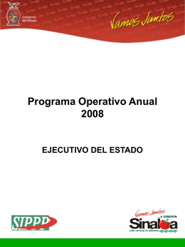 Programa Operativo Anual 2008 (POA)