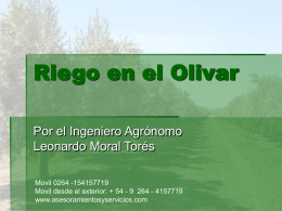 Riego en el Olivar - asesoramiento y servicios