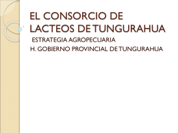 EL CONSORCIO DE LACTEOS DE TUNGURAHUA