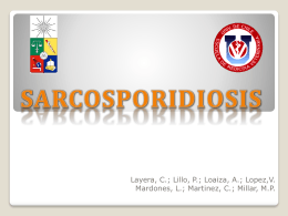 S. aucheniae - Sarcosporidiosis