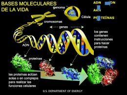 Presentacion_biotecnologia2