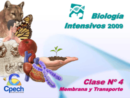 Biología Intensivos 2009 Clase Nº 4 Membrana y Transporte