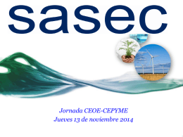 Informe SASEC 2010