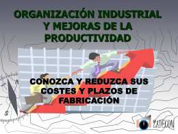 Organización Industrial y mejoras de la productividad