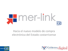Proyecto Merlink