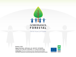 6. Experiencia CFV FLEGT - Proyecto Gobernanza Forestal