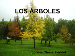 Lorena Chiarri. Tema 7. Árbol (4709888)