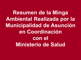 Resumen Minga - Municipalidad de Asunción