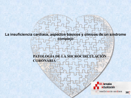 Fisiopatología de la microcirculación coronaria. Dra. Beatriz Amores