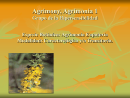 Agrimony, Agrimonia 1