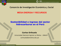 Power Point - Consorcio de Investigación Económica y Social