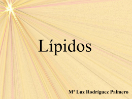 LÍPIDOS - Materiales TIC de Lourdes Luengo