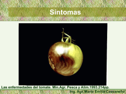 Wiebe, W. 1997. Tomato diseases Ing. Agr. María Emilia Cassanello