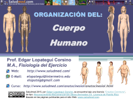 P1 PPT U1-02: Organización del Cuerpo Humano