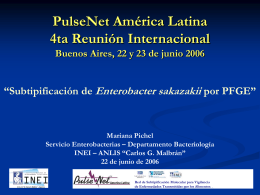 PulseNet América Latina 4ta Reunión Internacional Buenos Aires
