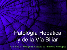 Patología Hepática y de la Vía Biliar