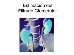 Estimación del Filtrado Glomerular