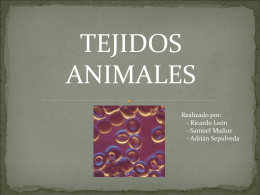 Ricardo León - tejidos animales