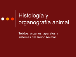 Histología y organografía animal