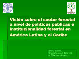 Visión sobre el sector forestal a nivel de políticas públicas