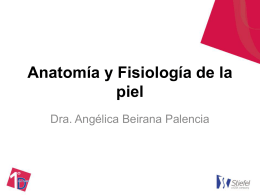 Anatomía y Fisiología de la piel.