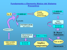 Fundamento o Elemento Básico del Sistema Preventivo S. P