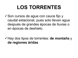 LOS TORRENTES