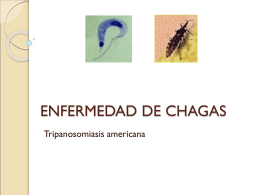 ENFERMEDAD DE CHAGAS 2011