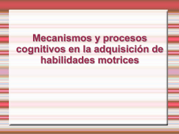 Mecanismos y procesos cognitivos en la adquisición de