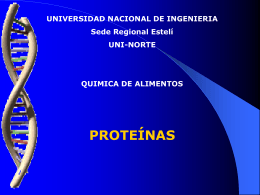 Clase de proteinas 1 - el Liceo Coloane en Castro