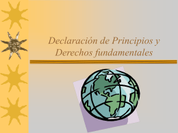 Declaración de Principios y Derechos fundamentales
