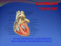 EL CORAZON THE HEART