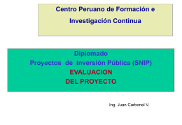 COLEGIO DE INGENIEROS DEL PERU Capítulo de Ingeniería
