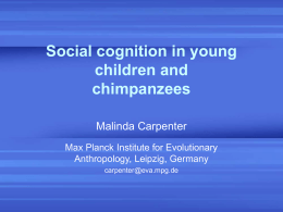 `Theory of mind`: Children`s and chimpanzees` understanding of