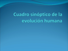 Cuadro sinóptico de la evolución humana
