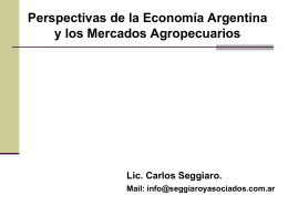 Perspectivas de la Economía Argentina y los Mercados