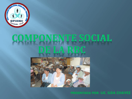 01 COMPONENTE SOCIAL RBC