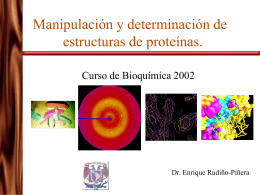 Manipulación y determinación de estructuras de proteínas.