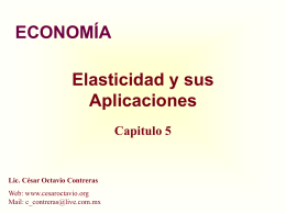 Elasticidad - cesaroctavio.org