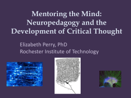 Mentoring the Mind-Neuropedagogy & Cognitive Skills Development