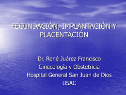 fecundacion e implantacion
