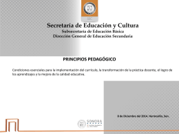 19.- principios - Secretaría de Educación y Cultura