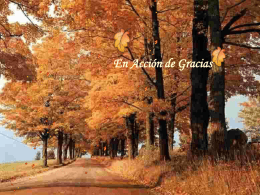 Accion_de_Gracias-23403 - Centro Concertado Juan XXIII Cartuja