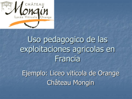 Presentación Exploitation Orange Chili